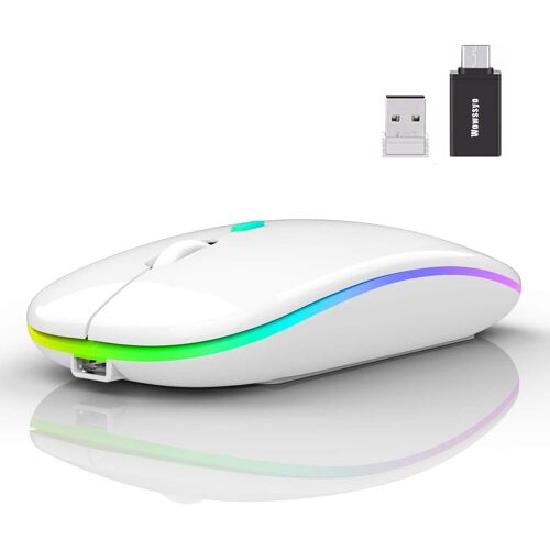 KALANKA-Souris sans fil USB 2,4 GHz - Souris Bluetooth - Suivi optique 1600 DPI - Double mode rechargeable - Pour ordinateur portable, PC, iOS, Android, iPad, Windows - Blanc