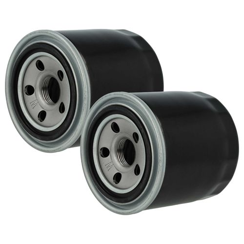 Vhbw 2x Filtre À Huile Compatible Avec Landini Mistral 50
