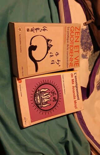 Spiritualités Vivantes Lot De 2 Livres Albin Michel Zen Et Vie Quotidienne, L'Enseignement De Mâ Ananda Moyî