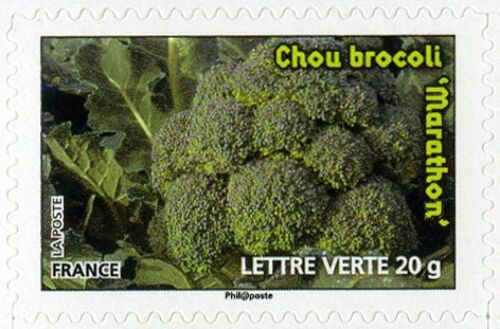 France 2012, Très Beau Timbre Autoadhésif Neuf** Luxe Yvert 743, Légumes Pour Une Lettre Verte - Chou Brocolis "Marathon".