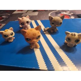Lot De Petshops