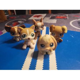 Lot De Petshops