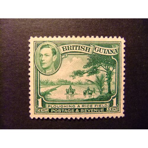 42 British Guiana 1938 1945 / Trabajando En El Rio / Yvert 162 (*)