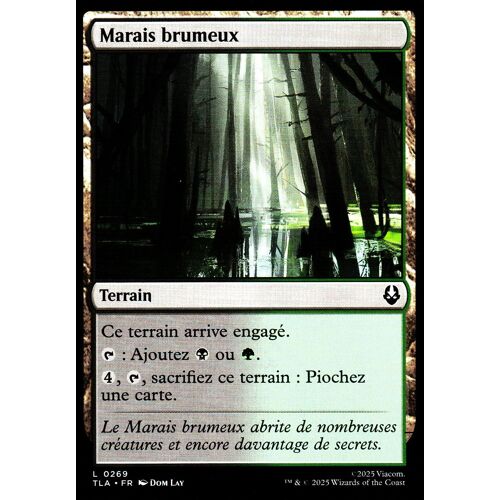 Marais Brumeux - Magic - Avatar Le Dernier Maître De L' Air Vf - C - 269