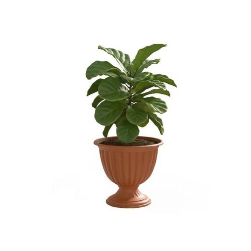 Pot Sur Pied Rond Ø 36 Cm H 36,5 Cm Terre Cuite Plastique