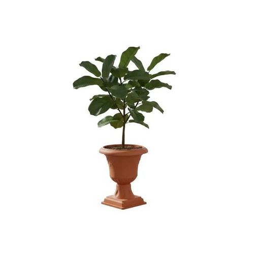 Pot Rond Ø39 H 62 Cm En Terre Cuite, Fin, Sur Pied, Motif 3d, Jardinière