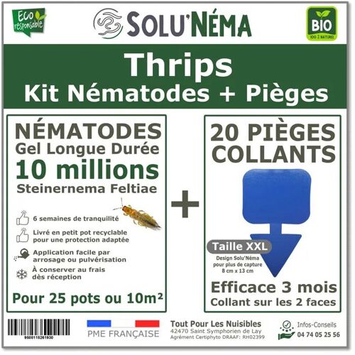 Kit Thrips - 10 millions Nématodes et 20 pièges collants bleus XXL