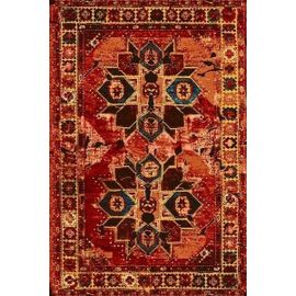 Tapis De Maison Oriental Multicolore