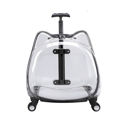 Cage À Roulettes Pour Chat, Adaptée Aux Animaux Jusqu'à 7 Kg, Transparente Et