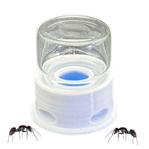 Mangeoire Pour Grillons, Abreuvoir Rechargeable, Abreuvoir Transparent Anti-Noyade Pour Terrariums Et Salles De Classe