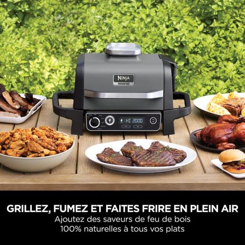 Barbecue électrique - NINJA - Woodfire - OG701EU - Grill, fumoir & air fryer - Antiadhésif - Gris et noir