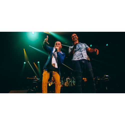 Place De Concert Dub Inc - Saint Etienne Zénith - 06/12/26