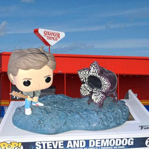 Figurines Funko Pop Stranger Things 728 Steve And Demodog
