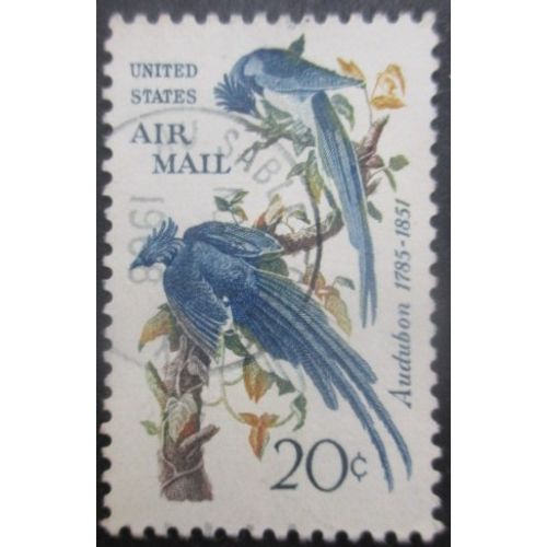 Etats-Unis Poste Aérienne N°67 Pie Du Mexique Oblitéré