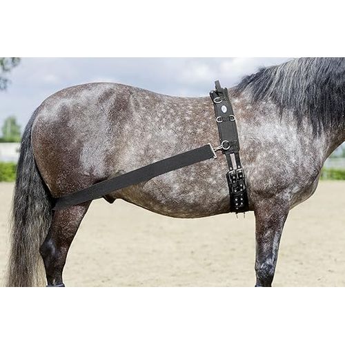 Système D'Entraînement Usg Lehmann