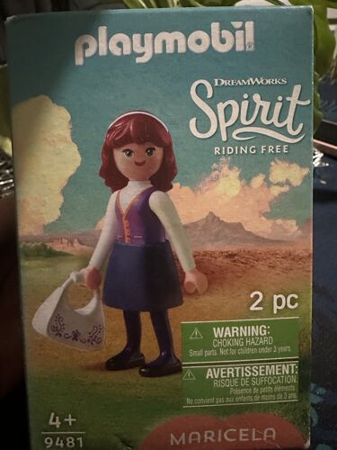 Boîte de playmobil DreamWorks