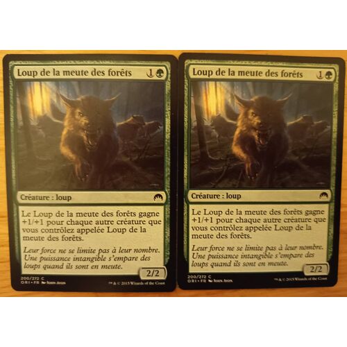 Timberpack Wolf // Loup De La Meute Des Forêts (Magic Origins)