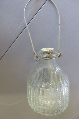 Ancien Piège À Guêpes Ou Frelons Asiatiques