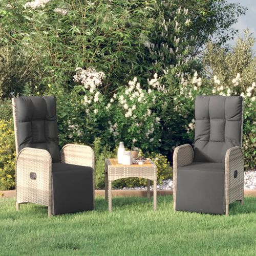 Prolenta Premium - Chaises Inclinables D'extérieur Et Coussins Lot De 2 Poly Rotin