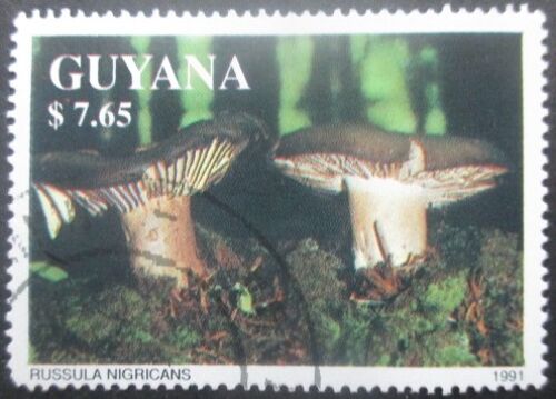 Guyane Champignons Oblitéré