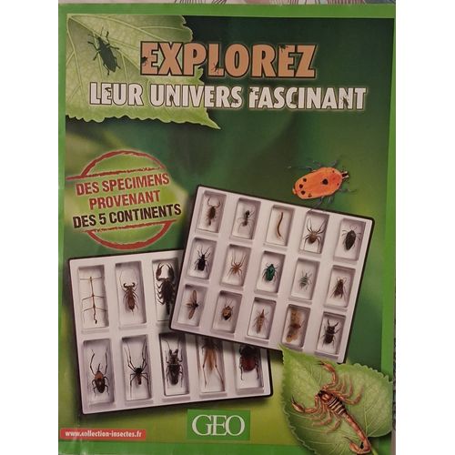 Collection "Insectes Du Monde" Geo Authentiques Insectes Des 5 Continents