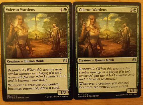 Valeron Wardens // Gardes De Valéron (Magic Origins)
