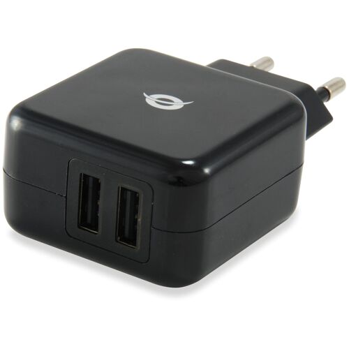 Conceptronic CUSBPWR2A USB Tablet Charger 2A - Adaptateur secteur - 2000 mA - 2 connecteurs de sortie ( USB ) - pour Apple iPad 1; 2