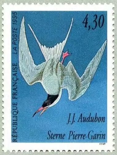 France 1995, Série Les Oiseaux Par John J. Audubon, Très Beau Timbre Neuf** Luxe Yvert 2931, Le Sterne Pierre-Garin.