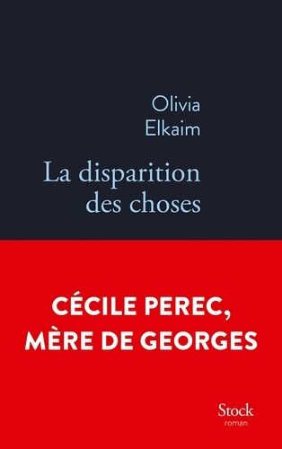 La Disparition Des Choses