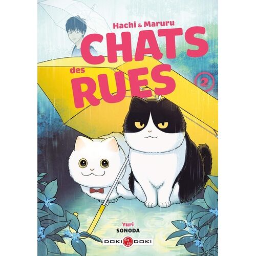Hachi Et Maruru - Chats Des Rues - Tome 2