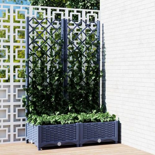 Prolenta Premium - Jardinière De Jardin Avec Treillis Bleu Gris 80x40x121,5 Cm Pp