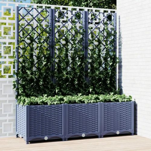 Prolenta Premium - Jardinière Avec Treillis Bleu Gris 120x40x136 Cm Pp