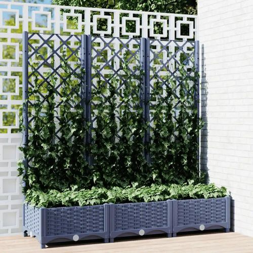 Prolenta Premium - Jardinière Avec Treillis Bleu Gris 120x40x121,5 Cm Pp