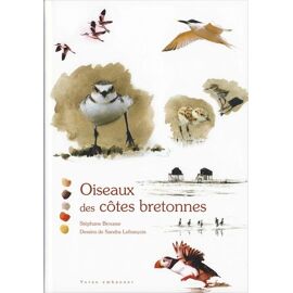 Oiseaux Des Côtes Bretonnes