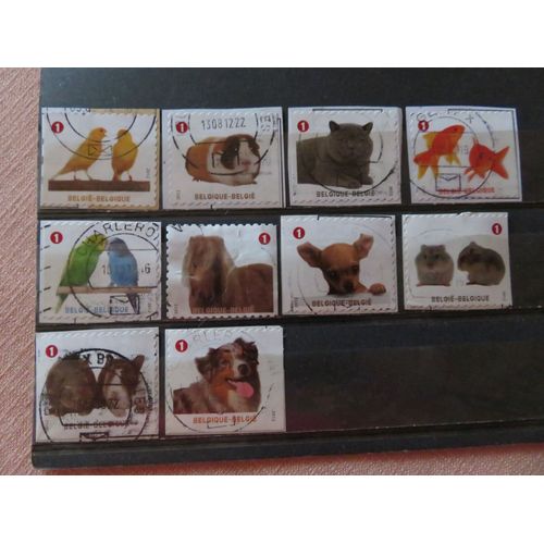 Lot De 10 Timbres Oblitérés Autoadhésifs - "Animaux De Compagnie" - Belgique 2012