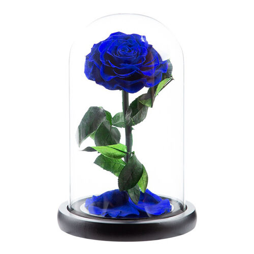 Cadeau de Noël Fleur éternelle-Rose bleue Boîte cadeau finie.