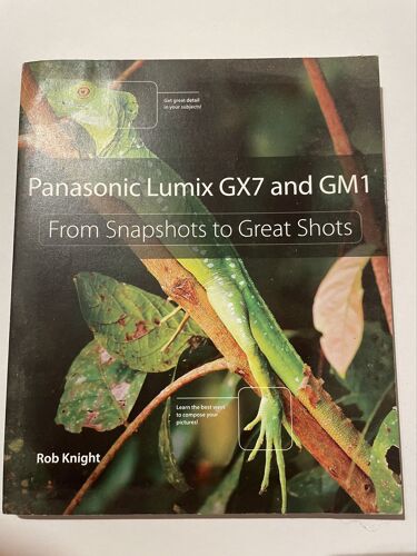 Panasonic Lumix Gx7 And Gm1 Rob Knight