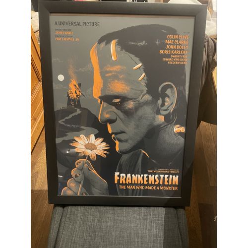 Frankenstein The Man Who Made A Monster ( Affiche Encadre ) 100 Exemplaires 