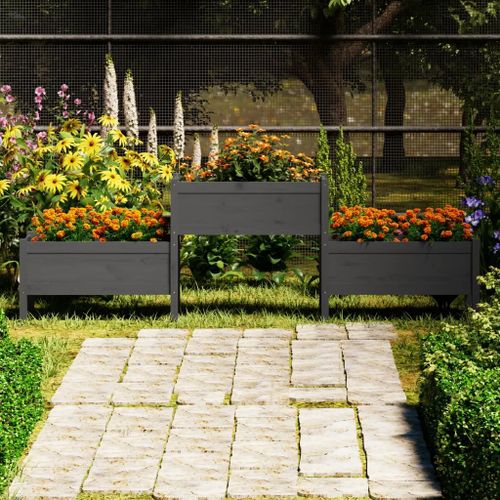 Prolenta Premium - Jardinière Gris 245,5x44x75 Cm Bois Massif De Pin