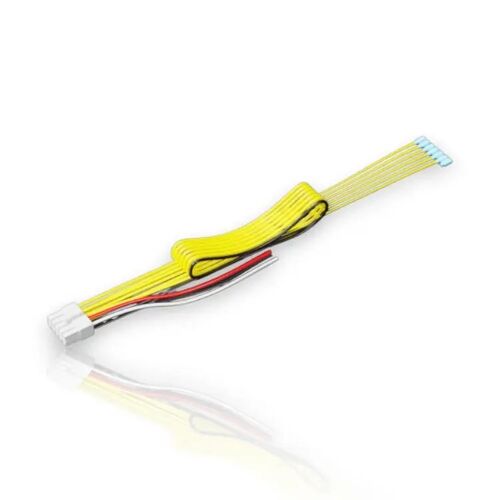 Basuri ¿ Faisceau De Câblage Officiel Pour Klaxons Musicaux | Connecteur Oem | 6 Trompes | Remplacement Premium