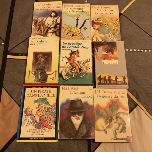 Lot 9 Livres Pour Enfants 