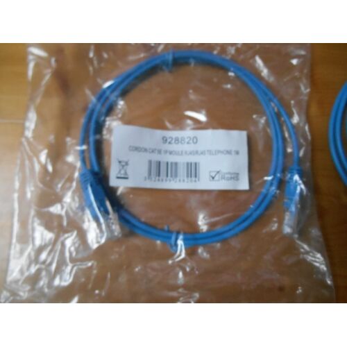 lot de 30 cordons RJ45cat 5E 1paire moule lg 1m