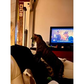 Téléviseur Philips 32¿¿ LCD ¿ Excellent état ¿ Avec boîte d¿origine