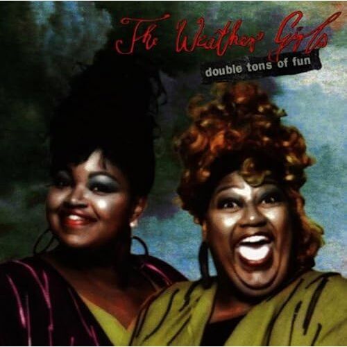 Weather Girls, The - Double Tons Of Fun - Eastwest Records Gmbh - 4509-94018-2