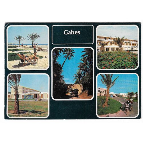 Carte Postale Vues De Gabes , Tunisie , 3.2.76 ( 1976 )