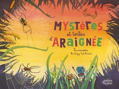 Mystères Et Toiles D'araignée ! - Les Aranéides