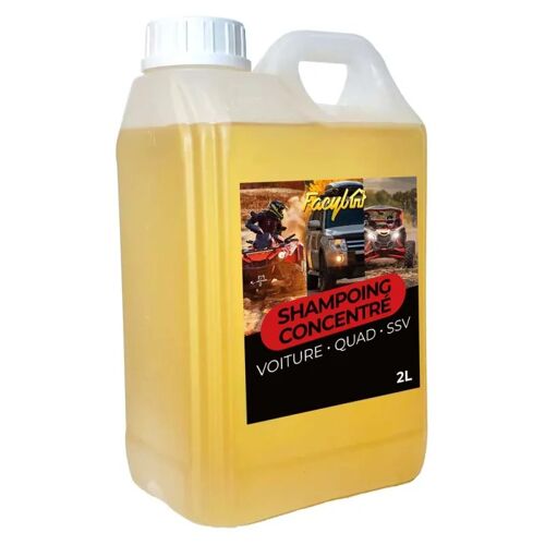 Shampooing Voiture Concentré 2l