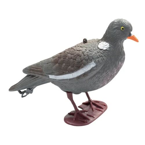 Appelant Pigeon Au Posé À L'unité