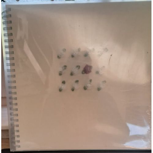 Exacompta Album Photo Design Blanc  "Elegance" 12 Roses - Exacompta