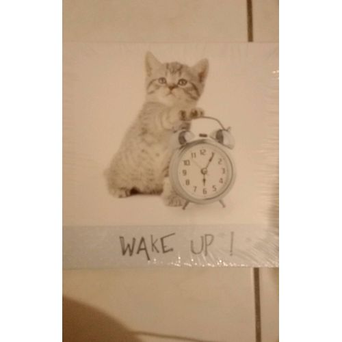 Cadre photo toile chat wake up! 28x28cm